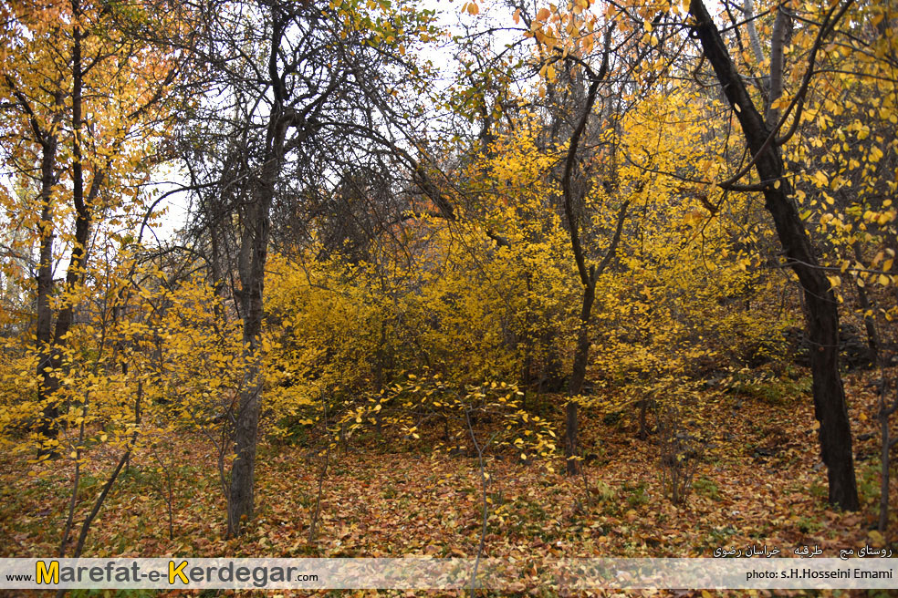 گردشگری طرقبه گردشگری طرقبه