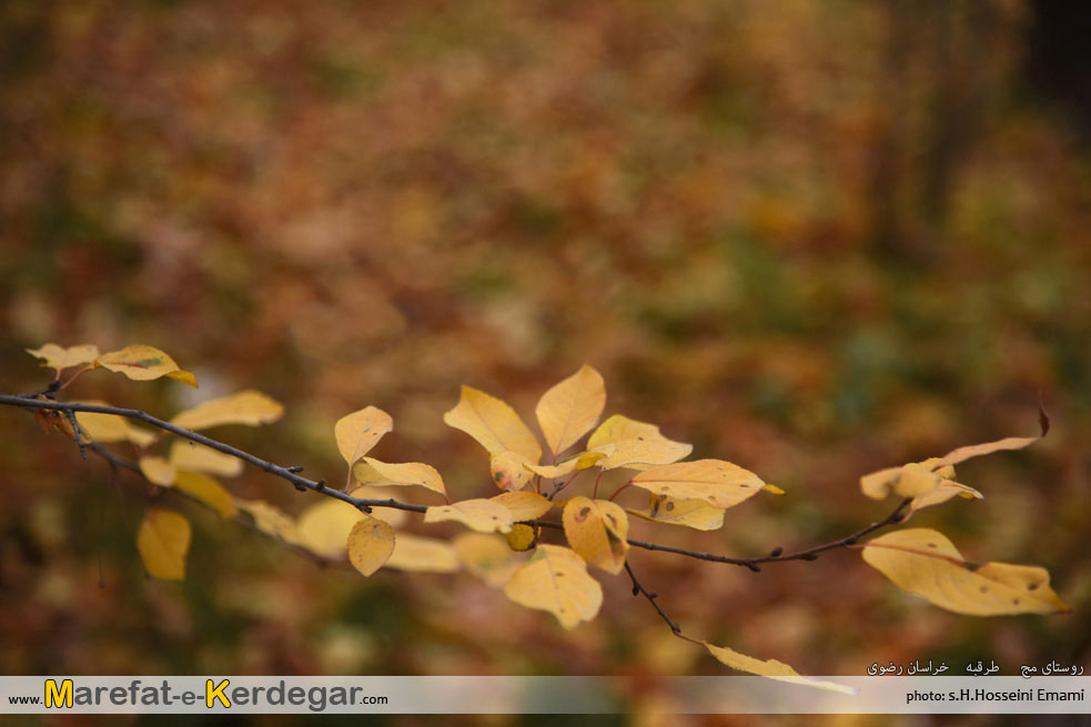 جاذبه های گردشگری طرقبه جاذبه های گردشگری طرقبه