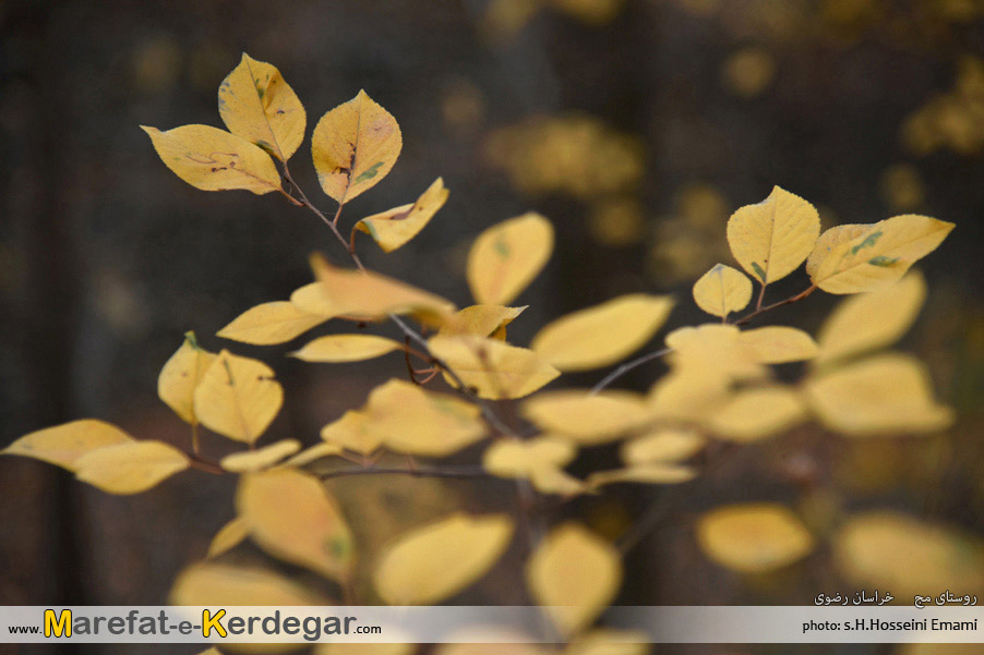 جاذبه های گردشگری طرقبه جاذبه های گردشگری طرقبه