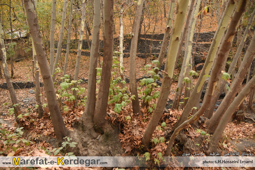 جاهای دیدنی خراسان رضوی جاهای دیدنی خراسان رضوی