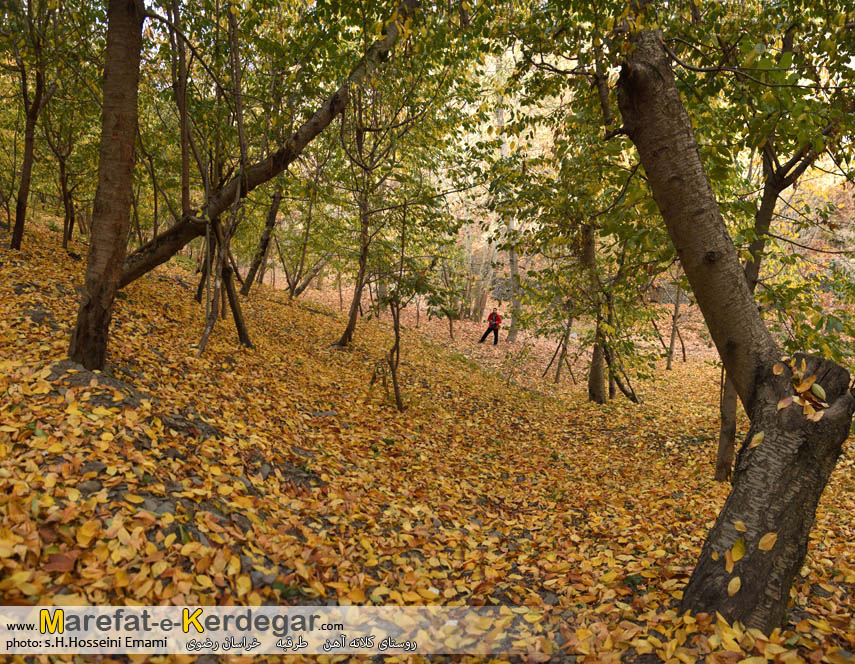 پاییز روستای کلاته آهن پاییز روستای کلاته آهن