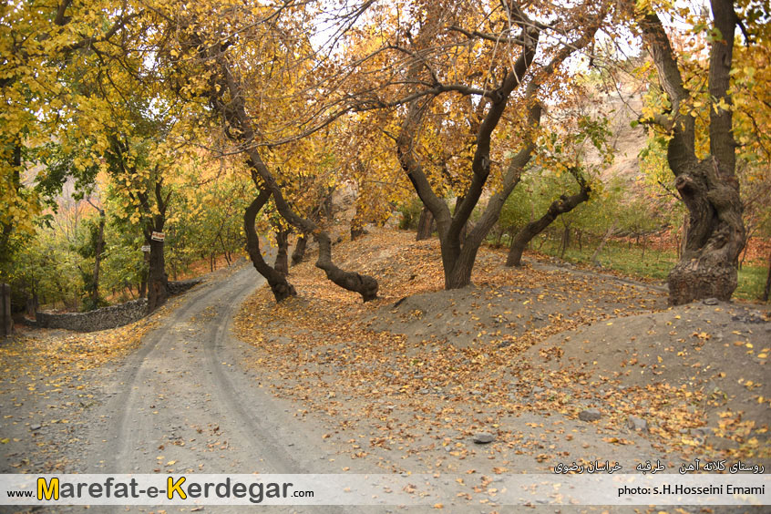 جاهای دیدنی طرقبه