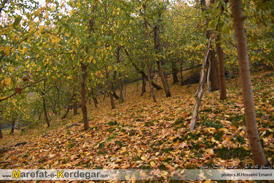 طبیعت طرقبه طبیعت طرقبه