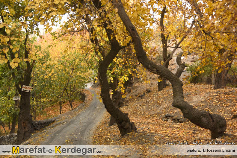 جاهای دیدنی طرقبه جاهای دیدنی طرقبه