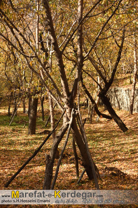 طبیعت طرقبه طبیعت طرقبه