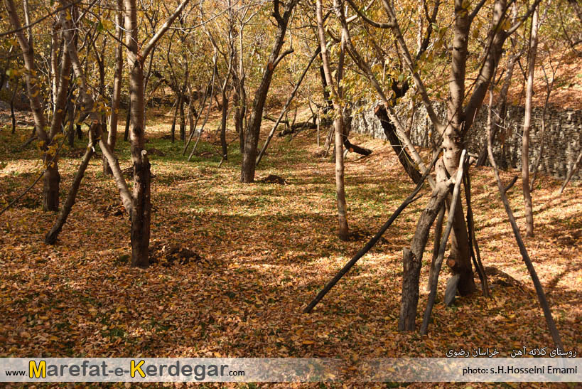 طبیعت طرقبه طبیعت طرقبه