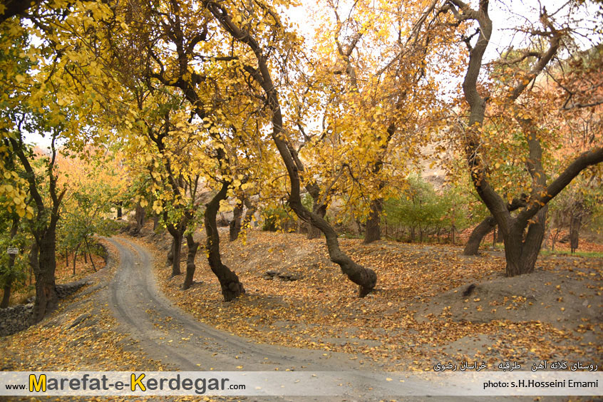 جاهای دیدنی طرقبه