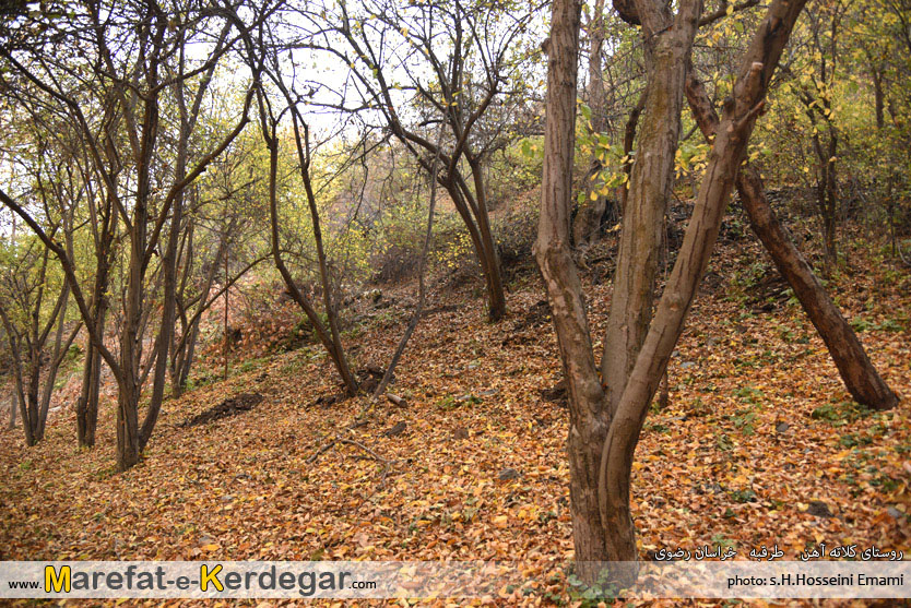 طبیعت خراسان رضوی طبیعت خراسان رضوی