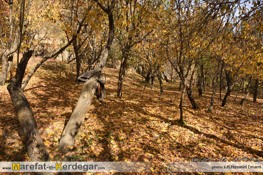 طبیعت خراسان رضوی طبیعت خراسان رضوی