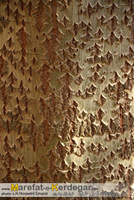 طبیعت ایران طبیعت ایران