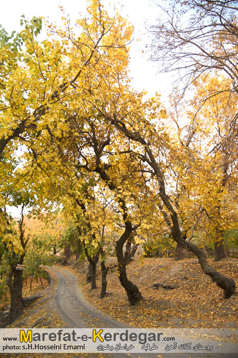 جاهای دیدنی طرقبه جاهای دیدنی طرقبه