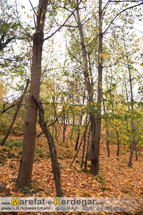 تصاویر پاییزی در ایران تصاویر پاییزی در ایران