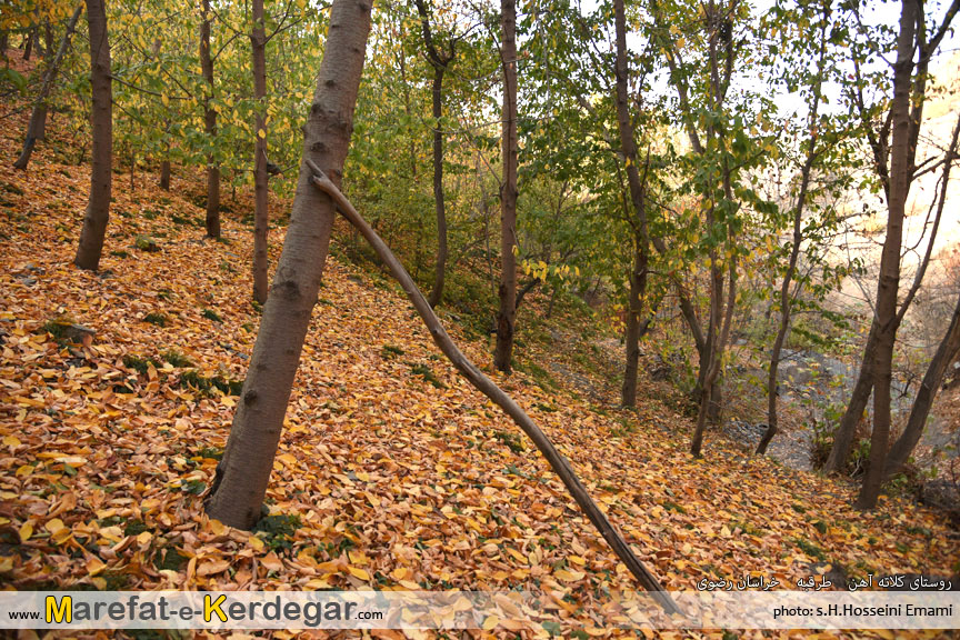 تصاویر پاییزی در ایران تصاویر پاییزی در ایران