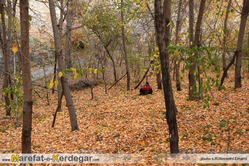 روستای کلاته آهن روستای کلاته آهن