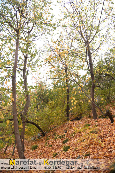 پاییز طرقبه پاییز طرقبه