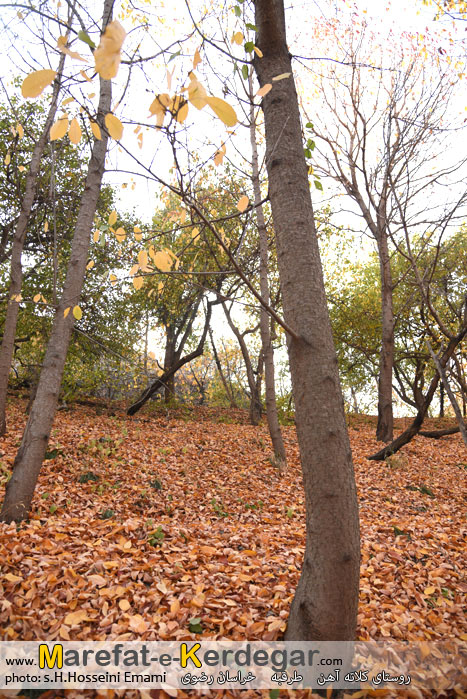 پاییز استان خراسان رضوی پاییز استان خراسان رضوی