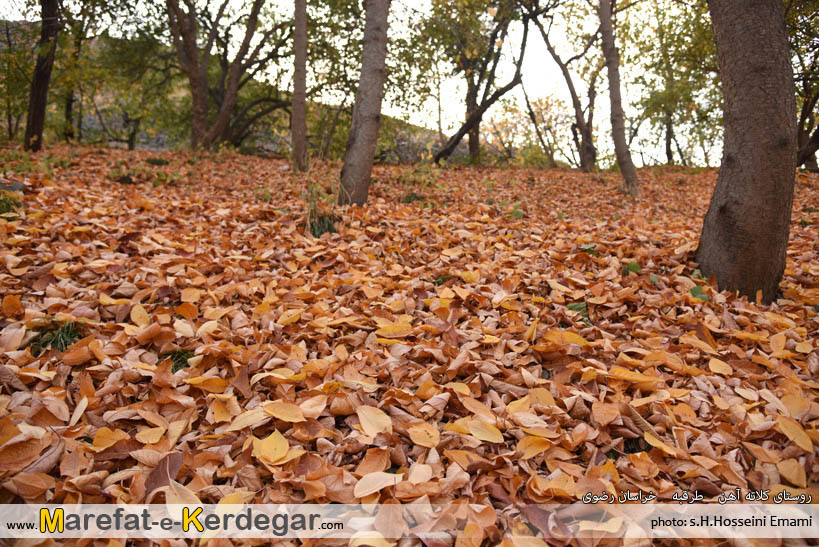 پاییز استان خراسان رضوی پاییز استان خراسان رضوی