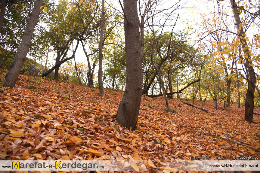 پاییز استان خراسان رضوی پاییز استان خراسان رضوی