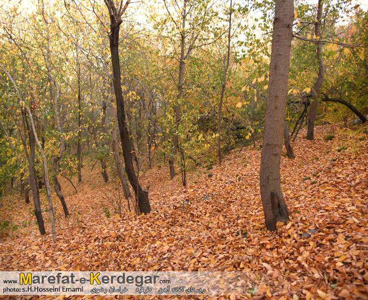 پاییز خراسان رضوی پاییز خراسان رضوی