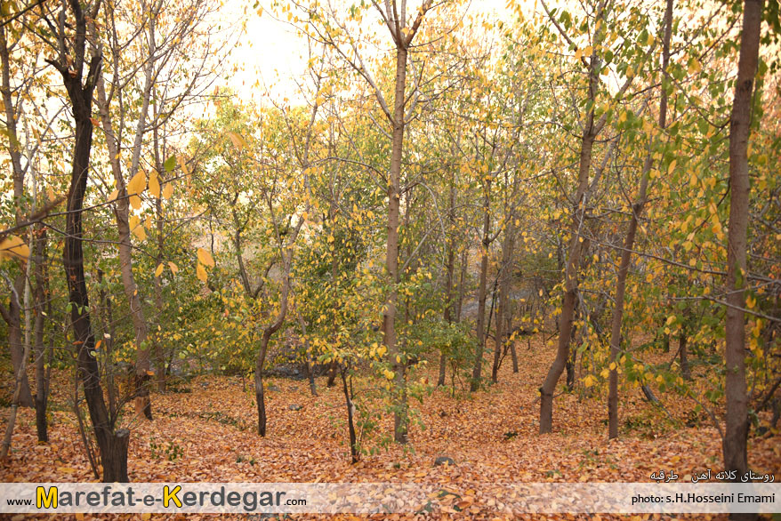 پاییز خراسان رضوی پاییز خراسان رضوی