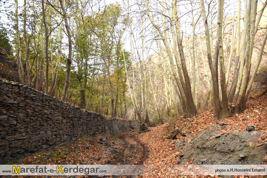 پاییز ایران پاییز ایران