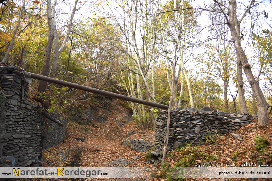 پاییز ایران پاییز ایران