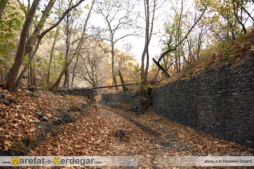 پاییز ایران پاییز ایران