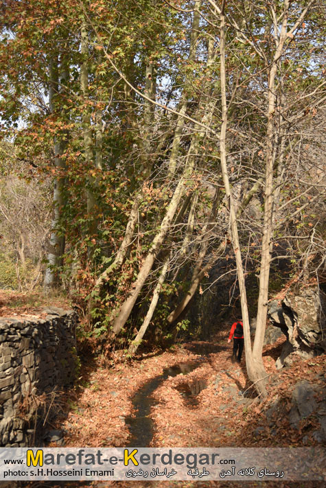 طبیعت پاییزی طرقبه طبیعت پاییزی طرقبه