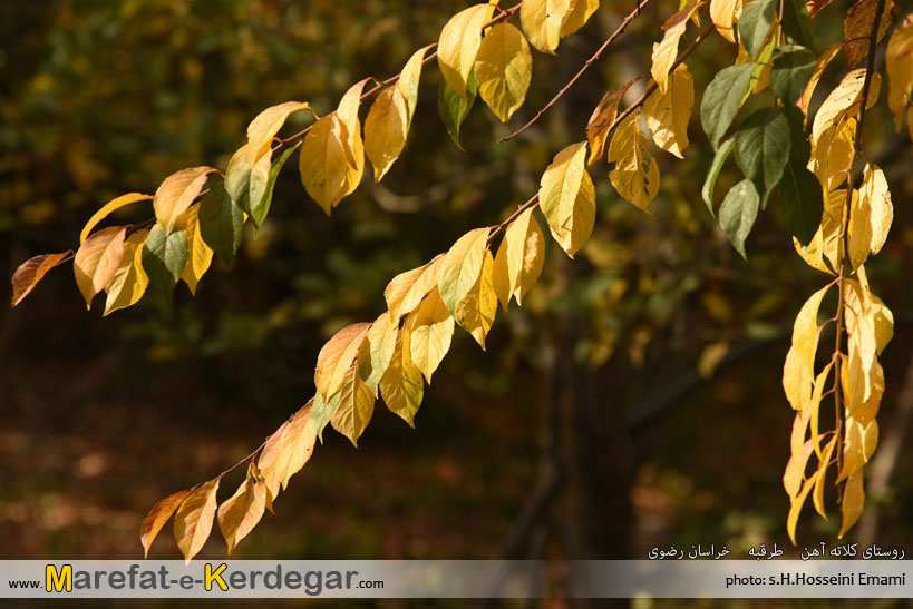 طبیعت پاییزی استان خراسان رضوی طبیعت پاییزی استان خراسان رضوی