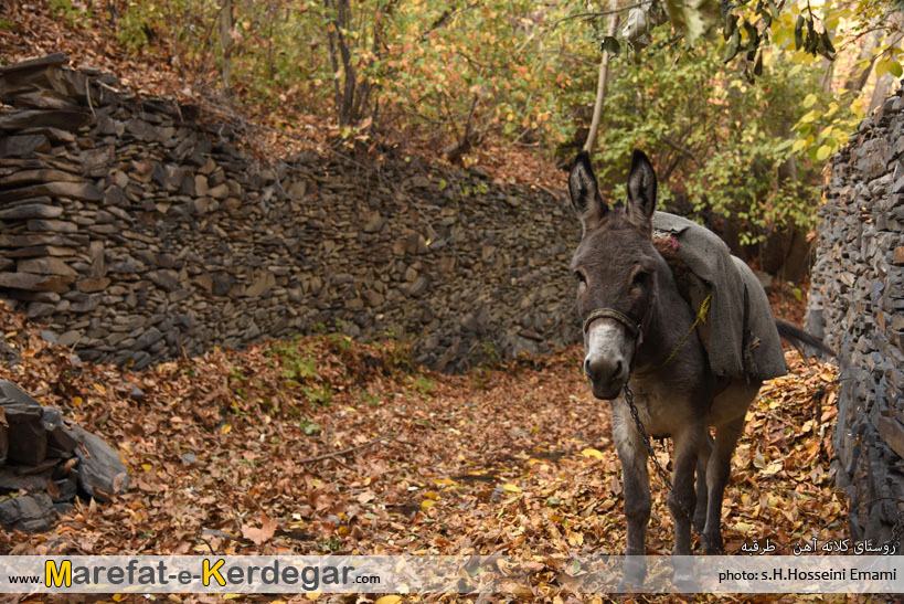 طبیعت پاییزی خراسان رضوی طبیعت پاییزی خراسان رضوی