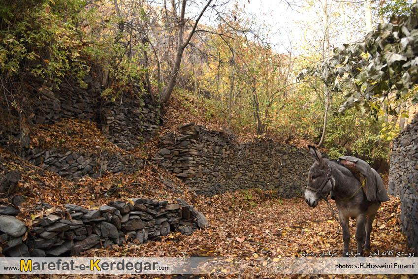 طبیعت پاییزی خراسان رضوی طبیعت پاییزی خراسان رضوی