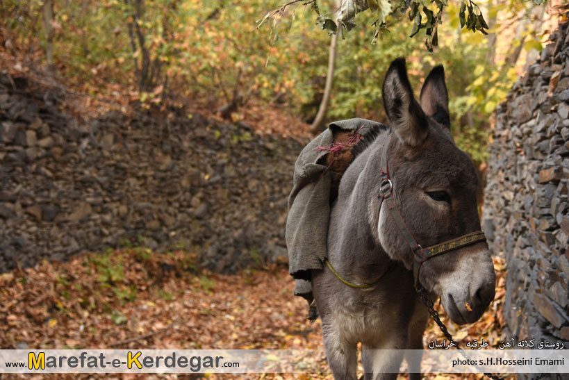 طبیعت پاییزی خراسان طبیعت پاییزی خراسان