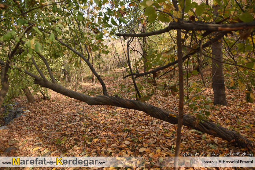 جلوه های پاییزی در طرقبه جلوه های پاییزی در طرقبه