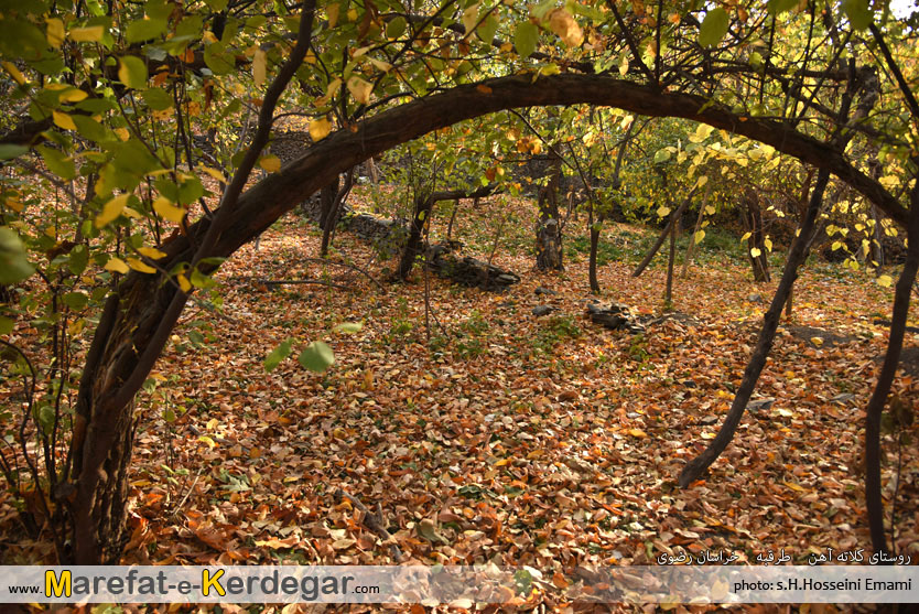 جلوه های پاییزی در طرقبه جلوه های پاییزی در طرقبه