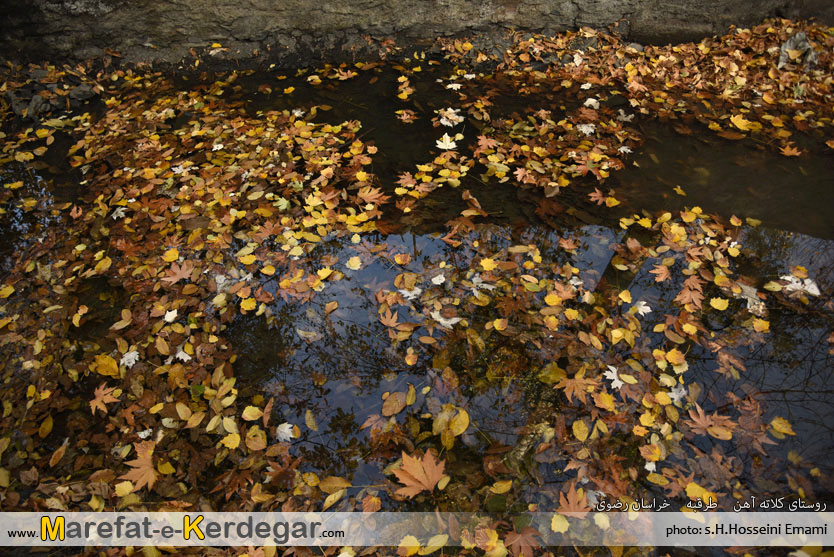 جلوه های پاییزی در ایران جلوه های پاییزی در ایران