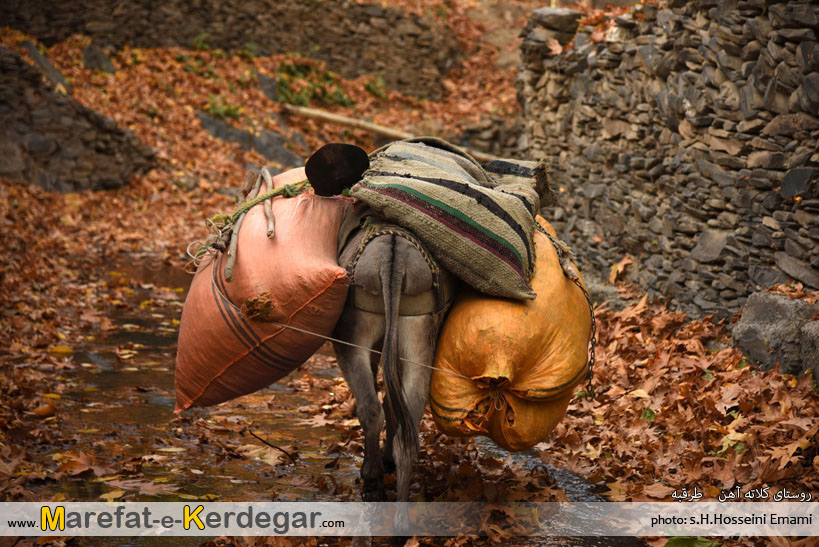 تصاویر پاییزی در طرقبه تصاویر پاییزی در طرقبه