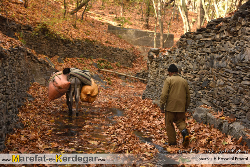 تصاویر پاییزی در طرقبه تصاویر پاییزی در طرقبه