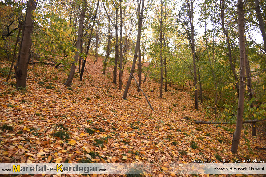 تصاویر پاییزی در استان خراسان رضوی تصاویر پاییزی در استان خراسان رضوی