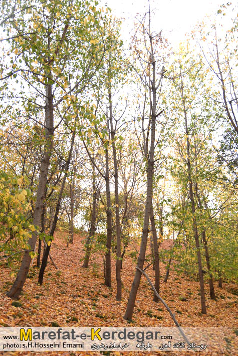 تصاویر پاییزی در استان خراسان رضوی تصاویر پاییزی در استان خراسان رضوی