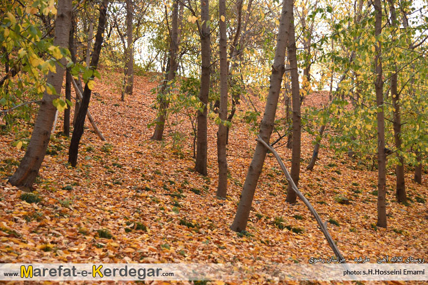 تصاویر پاییزی در خراسان رضوی تصاویر پاییزی در خراسان رضوی