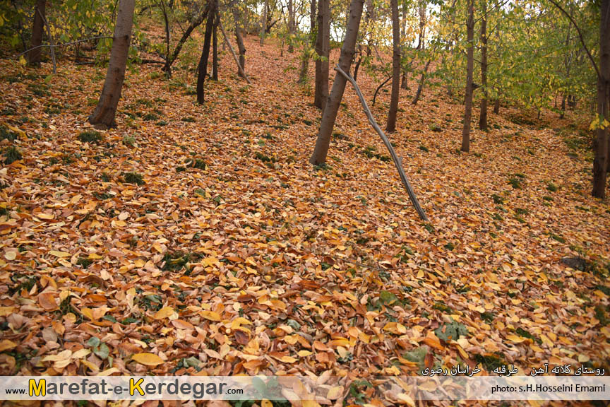 تصاویر پاییزی در خراسان رضوی تصاویر پاییزی در خراسان رضوی