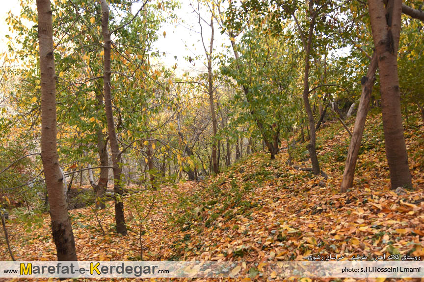 تصاویر پاییزی در ایران تصاویر پاییزی در ایران