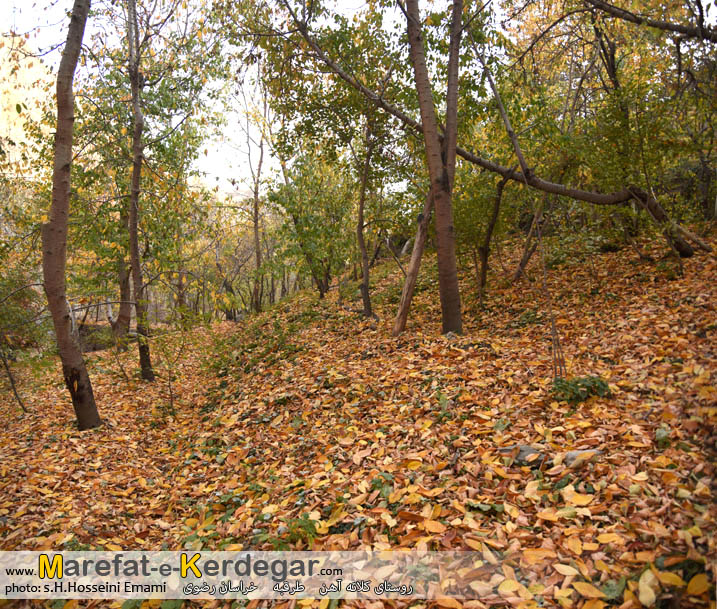 تصاویر پاییزی در ایران تصاویر پاییزی در ایران