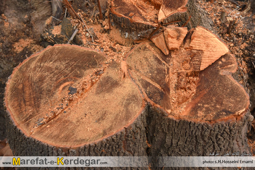 دره روستای کلاته آهن دره روستای کلاته آهن