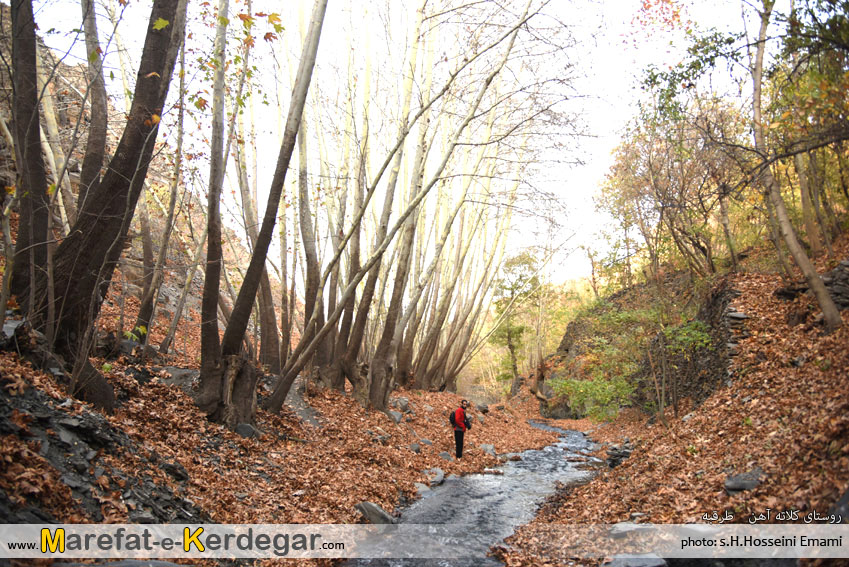 پاییز هزاررنگه در اطراف مشهد پاییز هزاررنگه در اطراف مشهد