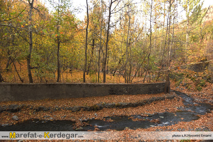 عکاسی پاییزی در مشهد عکاسی پاییزی در مشهد