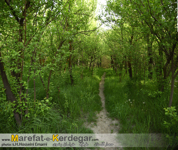 روستای حصارگلستان روستای حصارگلستان