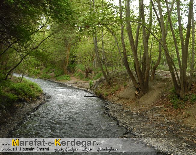 طبیعت طرقبه طبیعت طرقبه