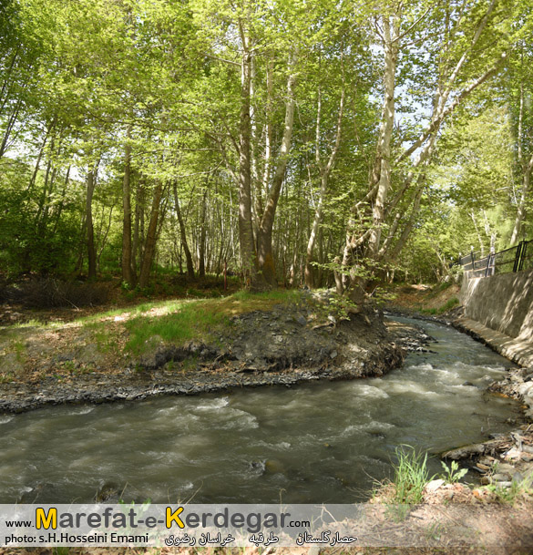 طبیعت طرقبه طبیعت طرقبه