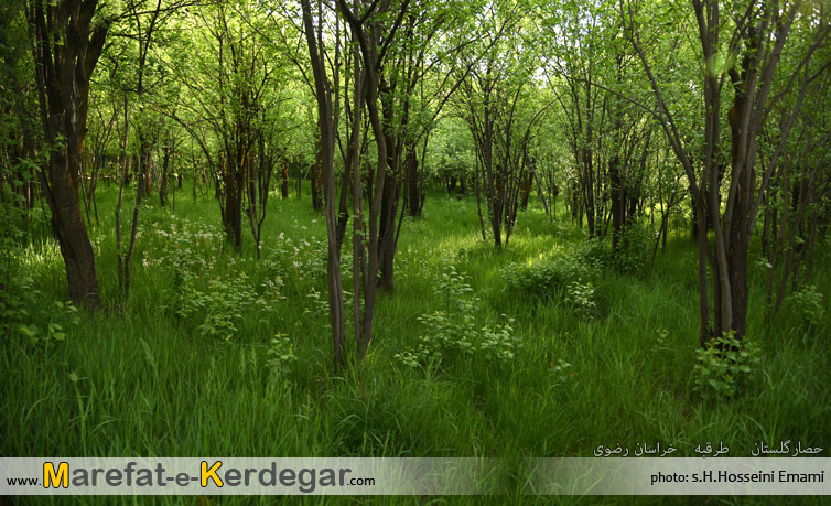 روستای حصارگلستان روستای حصارگلستان